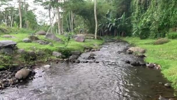 Immer Noch Wasserstrahl Auf Einem Felsigen Fluss — Stockvideo