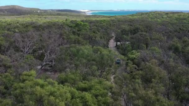 Rastreamento Aéreo Caminhão Dirigindo Para Mar Através Eucalipto Floresta Cinzas — Vídeo de Stock