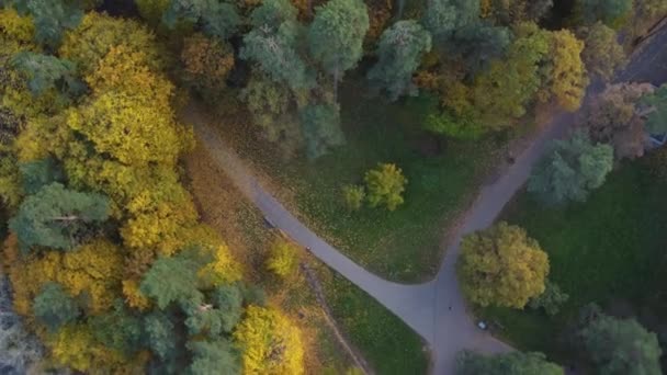 Aerial Top Orbiting Skott Skogsröjning Park Vilnius Litauen Med Vibrerande — Stockvideo