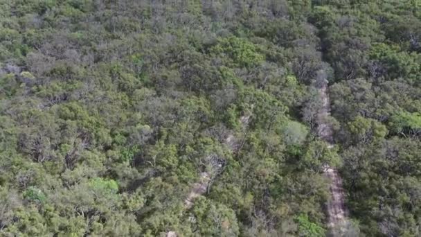 Seguimiento Las Inclinaciones Aéreas Desde Camión Camino Arenoso Bahía Del — Vídeo de stock