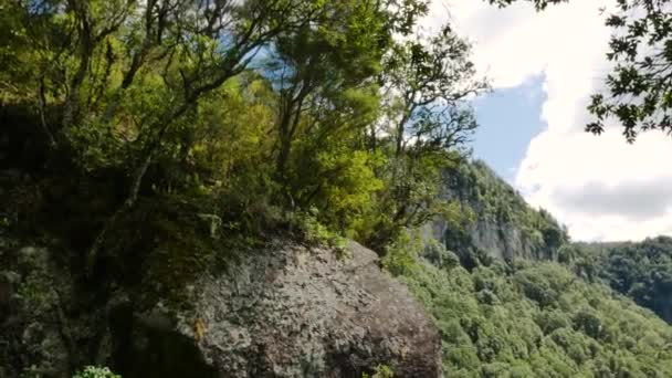Panning Skott Vackra Frodiga Bergslandskap Sommaren Kawerau Nya Zeeland — Stockvideo