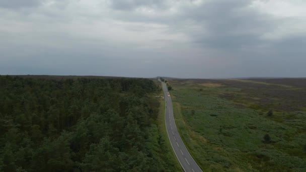 Drónfelvétel Egy Kerékpárosról Néhány Autóról Egy Erdős Lápvidéki Országúton Drámai — Stock videók