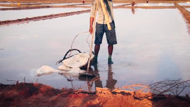Kamboçya Daki Kamboçya Nın Tuz Tarlalarında Hasat Mevsimi Boyunca Dokuma — Stok video