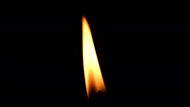 One Candle Burning Brightly Black Background — Stock Video