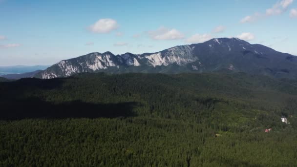 Vista Aérea Floresta Verdante Com Maciço Postavarul Fundo Perto Predeal — Vídeo de Stock