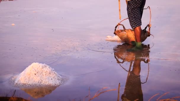 Hombre Cosechando Sal Mano Las Famosas Granjas Sal Kampot Camboya — Vídeos de Stock