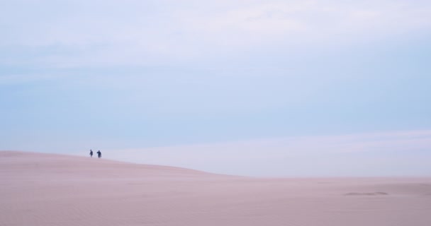 Cena Praia Relaxante Tirar Fôlego Com Dunas Areia Tons Rosa — Vídeo de Stock