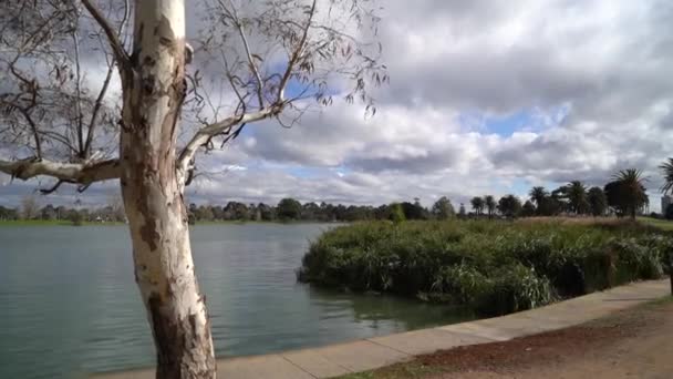 멜버른 앨버트 공원에 연못의해 안선에 나무들을 희미하게 내다봄 — 비디오