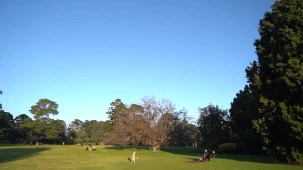 Napsütéses Nap Werribee Parkban Emberek Élvezik Szabadidőt Melbourne Város Dolly — Stock videók