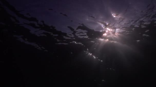 黄昏的时候 阳光穿过海面 近在咫尺 — 图库视频影像
