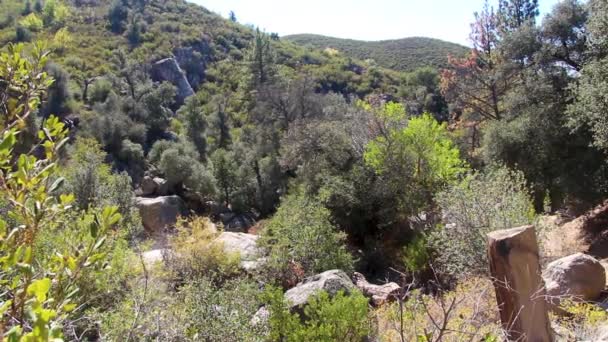 Terreno Aberto Perto Lago Cuyamaca Califórnia Localizado Lado Leste San — Vídeo de Stock