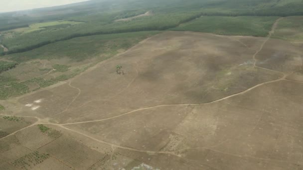 耕作されていないアフリカのサバンナ草原の上を飛行する空中ビュー田舎ドリー左 — ストック動画