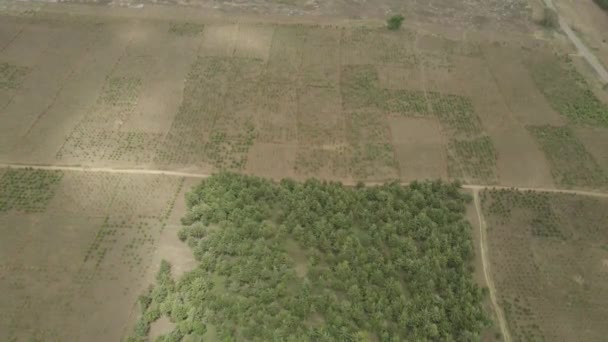 Vista Aérea Volando Sobre Pastizales Africanos Rurales Cultivados Birdseye — Vídeo de stock