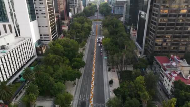 Auta Přecházející Reforma Avenue Mexico City Hlavní Ulice Cempasuchil Květiny — Stock video