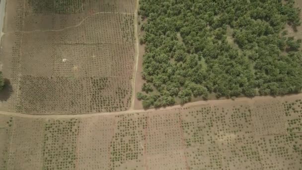 Aerial Birdseye Pohled Létání Nad Neobdělávané Zelené Africké Louky Venkovské — Stock video