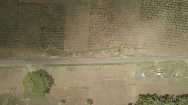 田舎の草原の荒野でケニアの未舗装道路の上を飛んで空中ビュー — ストック動画
