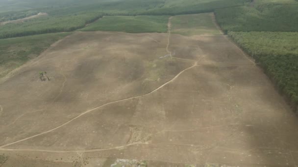 耕作されていないアフリカのサバンナ牧草地の田舎の上空を飛ぶ空中ドローンの眺めケニア — ストック動画