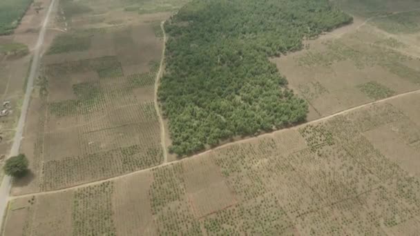 Flygdrönare Flyger Ovanför Odlad Grön Afrikansk Äng Landsbygd Vildmark Kenya — Stockvideo