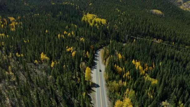 空中拍摄惊人的山路与秋天的森林颜色 — 图库视频影像