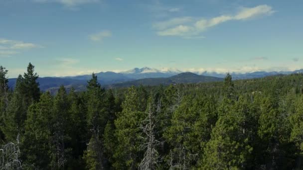 Воздушный Подъем Леса Обнаружить Большие Снежные Горы Вдали — стоковое видео