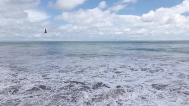 Foto Aérea Pájaro Volando Sobre Océano Con Una Exótica Playa — Vídeos de Stock