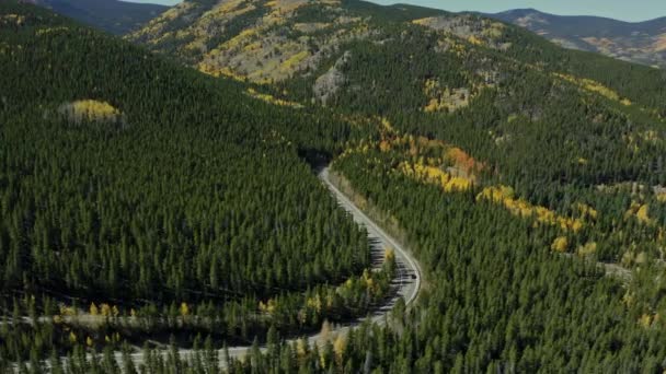 Vista Aérea Sobre Hermosa Carretera Forestal Las Montañas Rocosas Durante — Vídeos de Stock