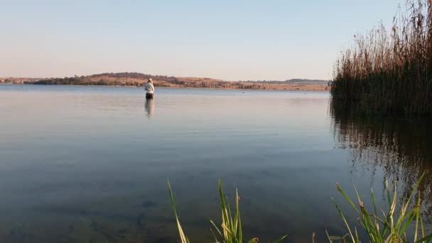 Ein Mädchen Das Einem Ruhigen Sonnigen Tag Einem See Nach — Stockvideo