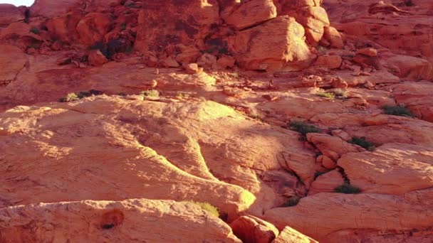 Canyon Väggar Och Berg Lövverk — Stockvideo