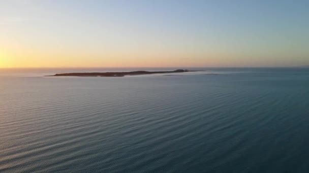 Aerial View Entires Flock Pigeon Island Golden Dusk Qld Australia — Stock Video