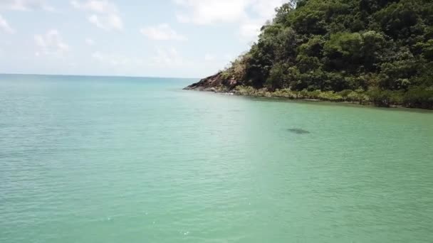 Drone Antenn Över Tropiskt Blått Vatten Och Regnskog Mangrove — Stockvideo