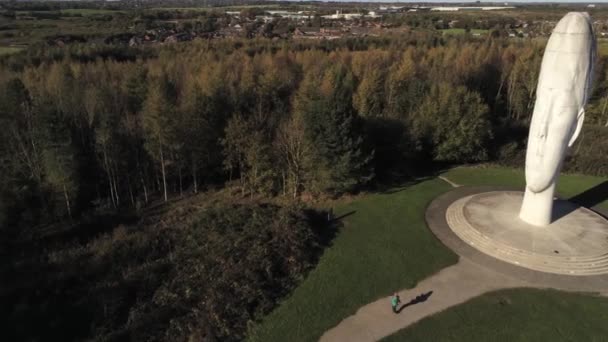 Dream Sculpture Bold Forest Landmark Face Obelisk Statue Aerial View — Stock Video