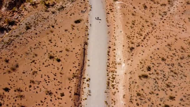 Kişi Arabasıyla Çöl Yolunda Yürüyor — Stok video