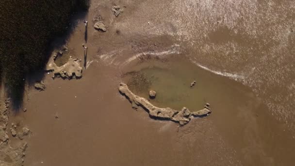 Aerial Top Shot Two People Walking River Path Green Plants — Αρχείο Βίντεο