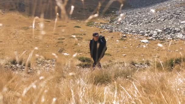 Turyści Spacerujący Ścieżką Górską Falujący Wietrze Siano Słoneczny Jesienny Dzień — Wideo stockowe