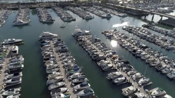 Dana Point Harbor Orange County Califórnia Eua Vista Aérea Barcos — Vídeo de Stock