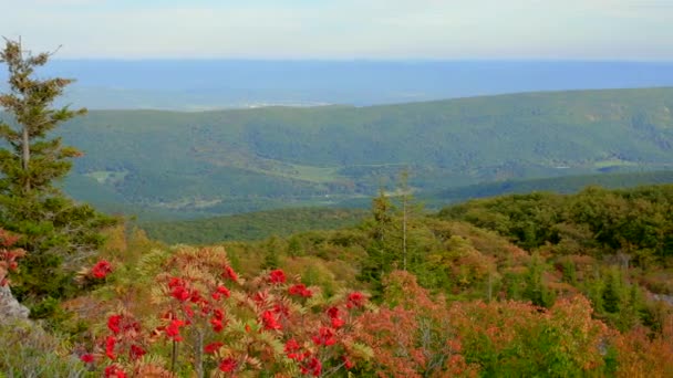 Pan Coloridas Montañas Principios Otoño Cima Una Montaña Virginia Occidental — Vídeos de Stock