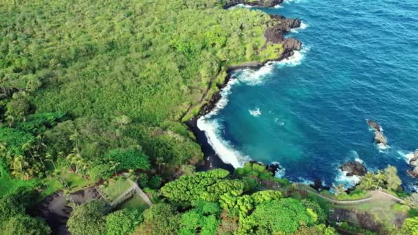 하와이 마우이의 해변에 태평양의 바닷물의 꼭대기에 급강하 — 비디오