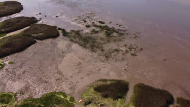 Two Friends Walking Beach Vicente Lopez Buenos Aires Aerial Top — Stock Video