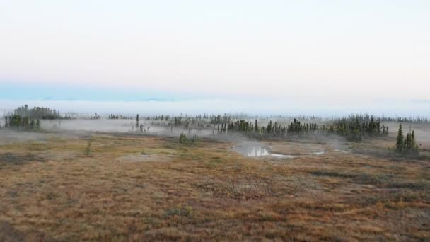 アラスカで霧に覆われた日の出の4K 60ドローンショット — ストック動画