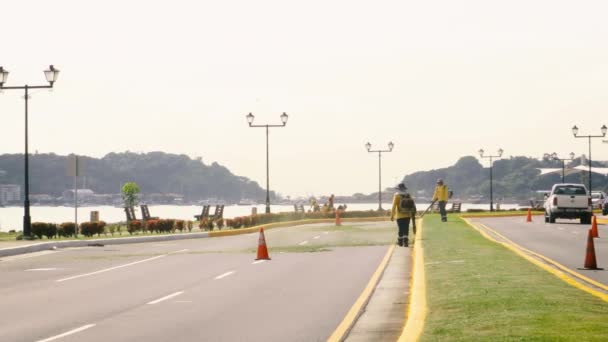 Travailleurs Soufflant Herbe Récemment Coupée Route Panama City Amérique Centrale — Video