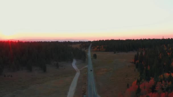 米国ユタ州の田舎で2車線のアスファルト道路を横断する車 ロードトリップ 航空追跡 — ストック動画