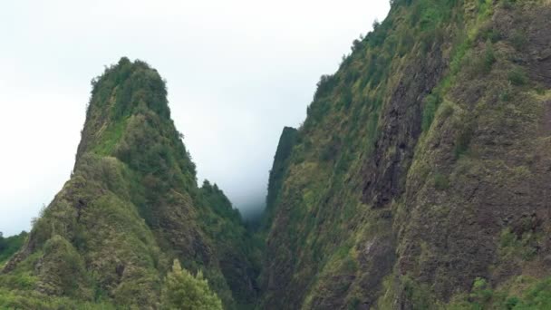 背景浓雾的辽谷绿山广袤地带 夏威夷岛 — 图库视频影像