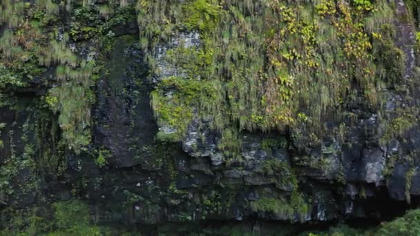 Amidaga Taki Wasserfälle Pfanne Über Moos Und Flechtenbedeckter Klippe Gifu — Stockvideo