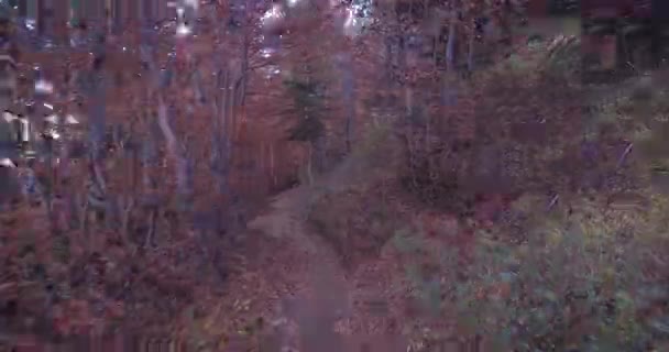 Hyperlapse Pov Beim Wandern Dunklen Herbstlichen Wäldern Nationalpark Ordesa Spanien — Stockvideo