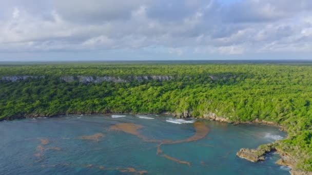 美丽的Cotubanama国家公园 海岸线优美 森林深处长着桃花心木 多明尼加共和国美丽的热带海湾和海岸线阳光灿烂的一天 — 图库视频影像