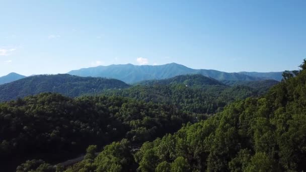 Aves Volando Sobre Exuberantes Bosques Verdes Las Grandes Montañas Humeantes — Vídeos de Stock