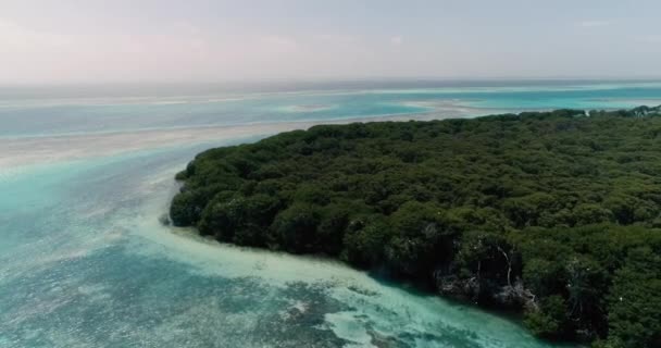 热带岛屿湖中红树林和蓝湖的空中景观摄像右移 — 图库视频影像