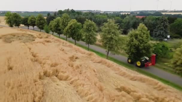 Bir Traktör Hasat Zamanına Giden Bir Tahıl Tarlasının Yanındaki Toprak — Stok video