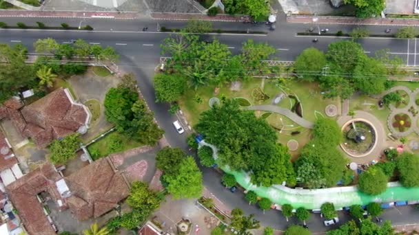 Top View Vibrant City Park Street Traffic Aerial Drone View — Stock Video