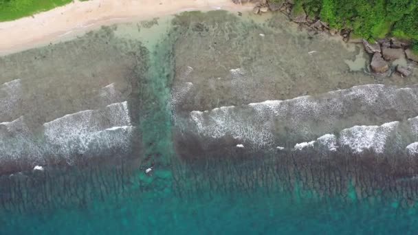 Yukardaki Izleme Çekimlerinde Houshi Fringing Resifi Güzel Turkuaz Deniz Suyunu — Stok video